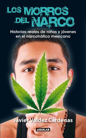 Cover of the book Los morros del narco by Carlos Fuentes