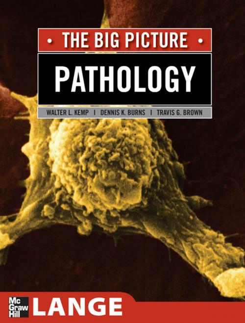 Cover of the book Pathology: The Big Picture by William Kemp, Travis G. Brown, Dennis K. Burns, McGraw-Hill Education