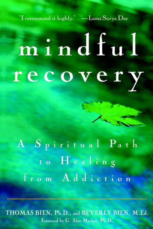 Cover of the book Mindful Recovery by Thomas Bien, Ph.D., Beverly Bien, M.Ed., Turner Publishing Company