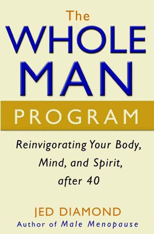 Cover of the book The Whole Man Program by Jed Diamond, Turner Publishing Company