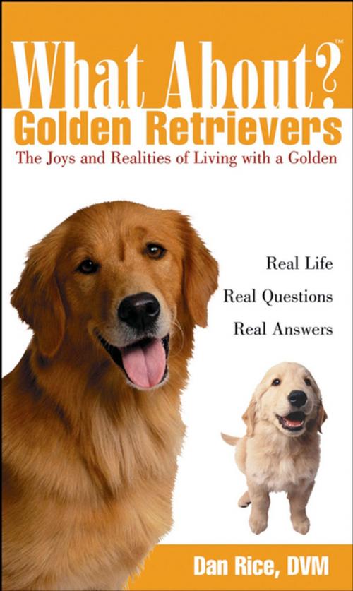 Cover of the book What About Golden Retrievers by Daniel Rice, DVM, Turner Publishing Company