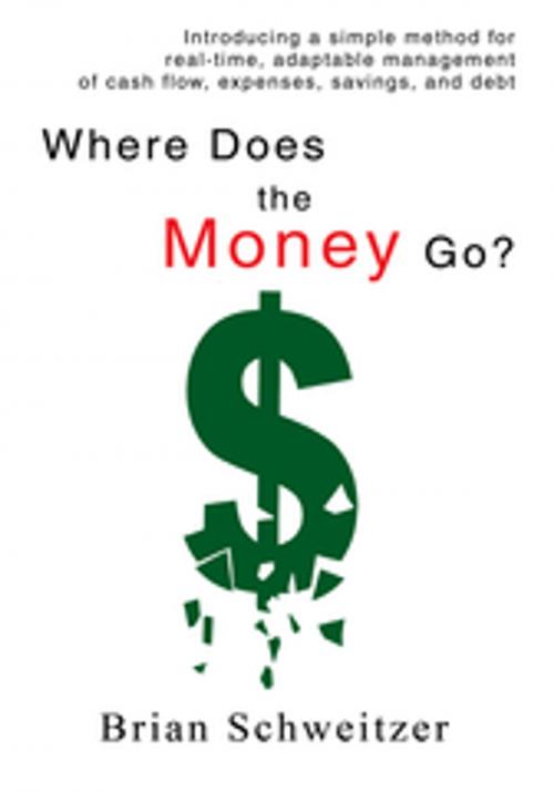 Cover of the book Where Does the Money Go? by Brian Schweitzer, iUniverse