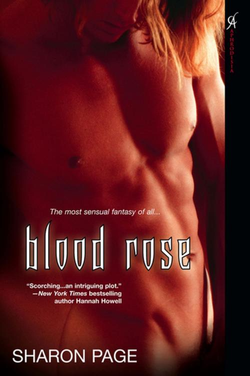 Cover of the book Blood Rose by Sharon Page, Kensington Books