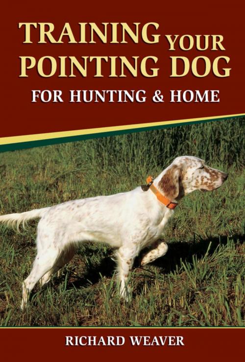 Cover of the book Training Your Pointing Dog for Hunting & Home by Richard Weaver, Stackpole Books