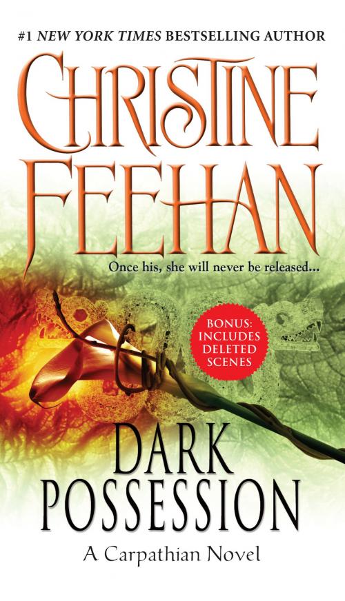 Cover of the book Dark Possession by Christine Feehan, Penguin Publishing Group