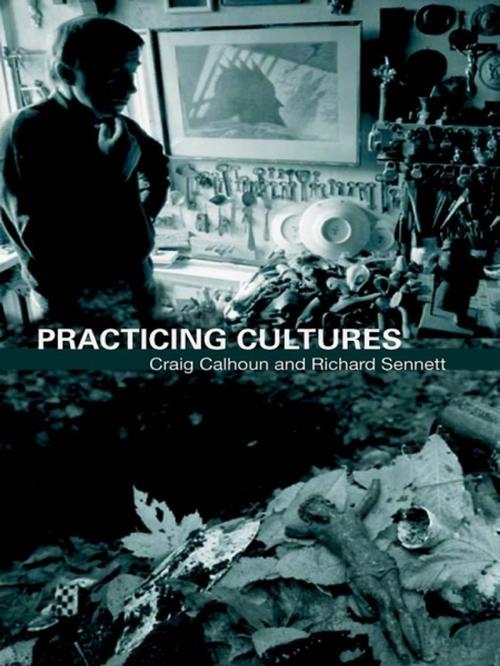 Cover of the book Practicing Culture by , Taylor and Francis