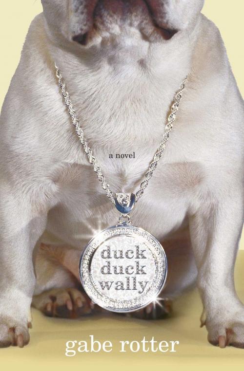 Cover of the book Duck Duck Wally by Gabe Rotter, Simon & Schuster