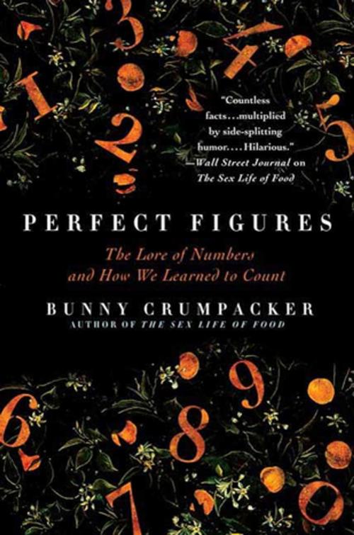 Cover of the book Perfect Figures by Bunny Crumpacker, St. Martin's Press