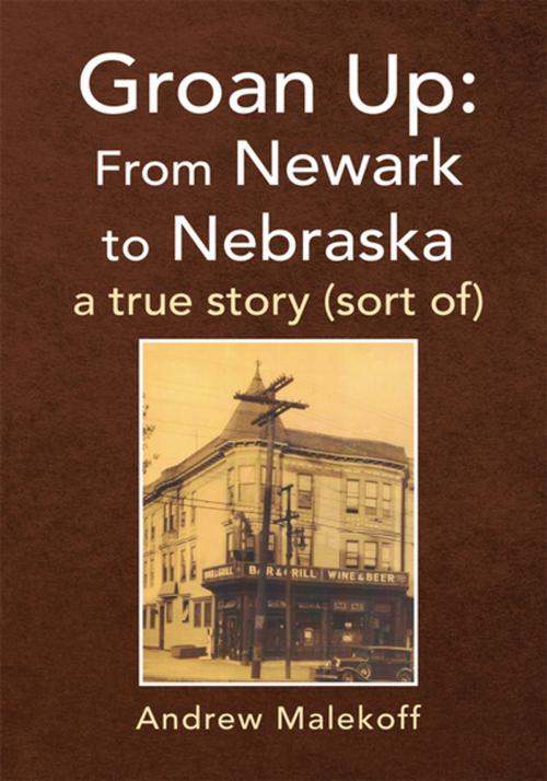 Cover of the book Groan Up: from Newark to Nebraska by Andrew Malekoff, Xlibris US