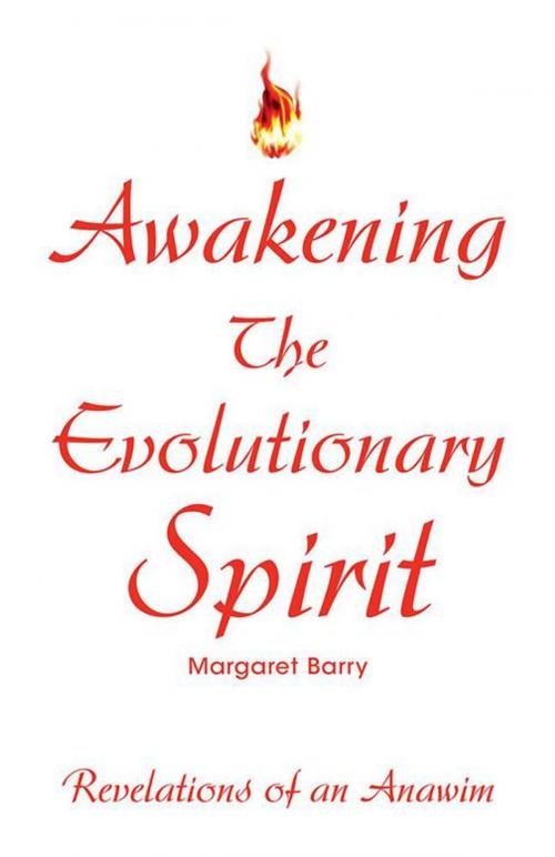 Cover of the book Awakening the Evolutionary Spirit by Margaret Barry, Xlibris US