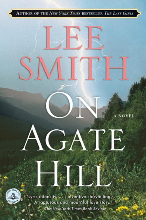 Cover of the book On Agate Hill by Lee Smith, Algonquin Books