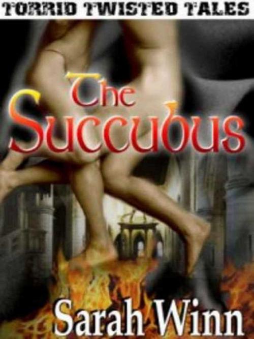 Cover of the book The Succubus by Sarah Winn, Torrid Books