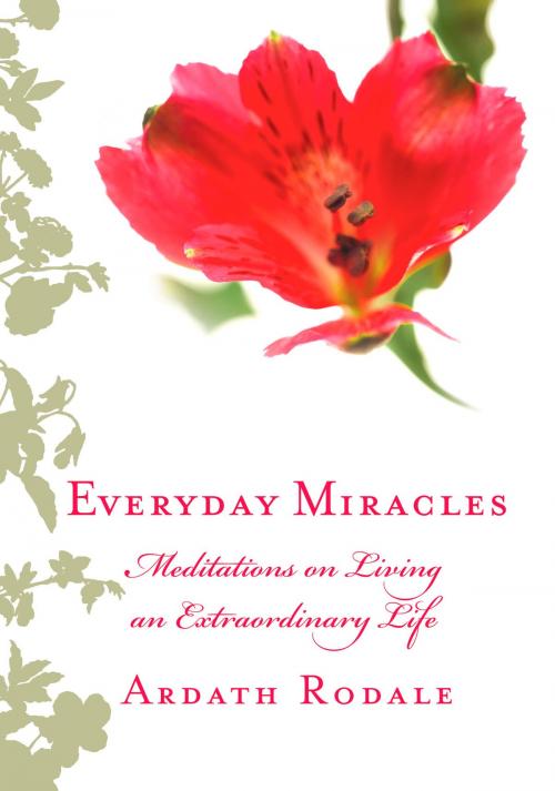 Cover of the book Everyday Miracles by Ardath Rodale, Potter/Ten Speed/Harmony/Rodale