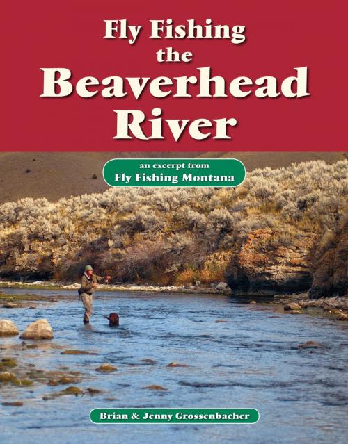Cover of the book Fly Fishing the Beaverhead River by Brian Grossenbacher, Jenny Grossenbacher, No Nonsense Fly Fishing Guidebooks