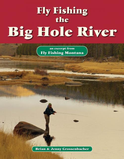 Cover of the book Fly Fishing the Big Hole River by Brian Grossenbacher, Jenny Grossenbacher, No Nonsense Fly Fishing Guidebooks