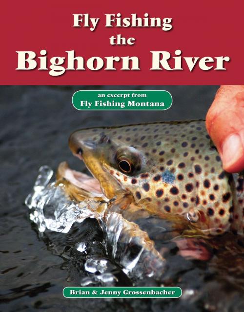 Cover of the book Fly Fishing the Bighorn River by Brian Grossenbacher, Jenny Grossenbacher, No Nonsense Fly Fishing Guidebooks