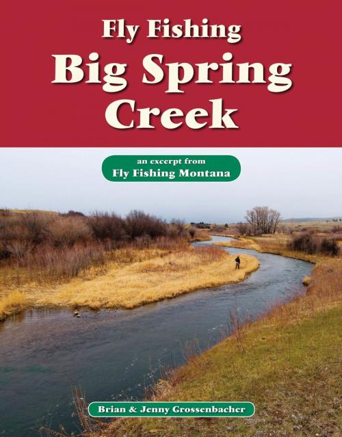 Cover of the book Fly Fishing Big Spring Creek by Brian Grossenbacher, Jenny Grossenbacher, No Nonsense Fly Fishing Guidebooks