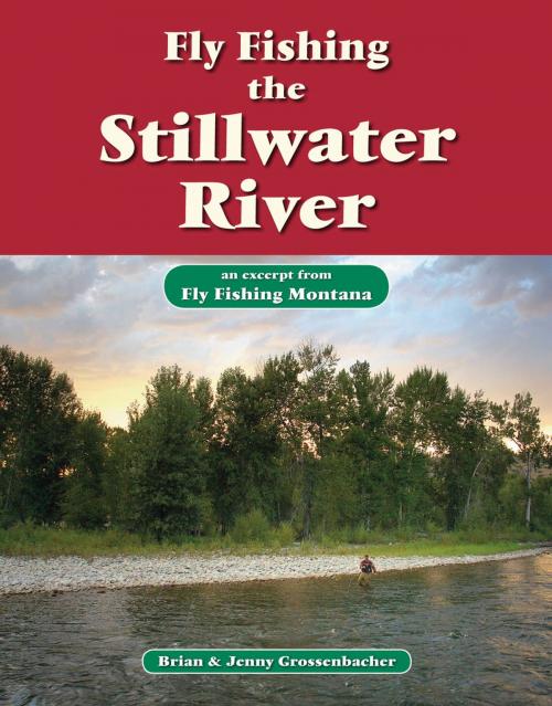 Cover of the book Fly Fishing the Stillwater River by Brian Grossenbacher, Jenny Grossenbacher, No Nonsense Fly Fishing Guidebooks