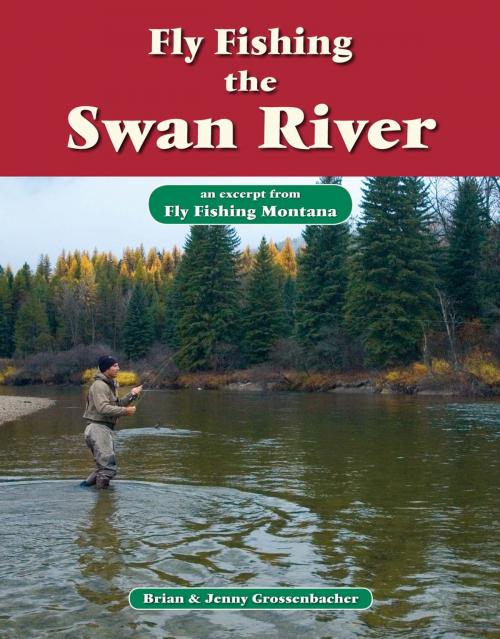 Cover of the book Fly Fishing the Swan River by Brian Grossenbacher, Jenny Grossenbacher, No Nonsense Fly Fishing Guidebooks