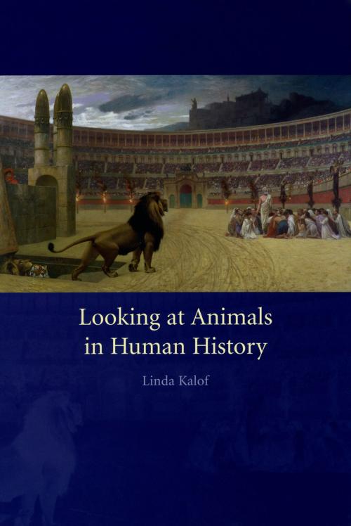 Cover of the book Looking at Animals in Human History by Linda Kalof, Reaktion Books