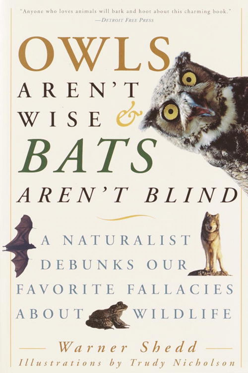 Big bigCover of Owls Aren't Wise & Bats Aren't Blind