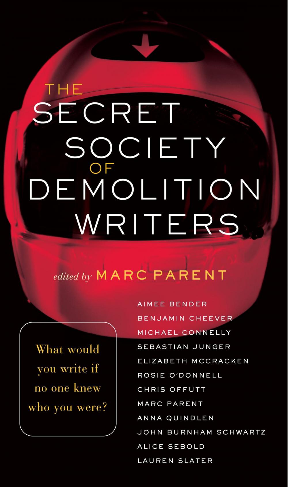 Big bigCover of The Secret Society of Demolition Writers