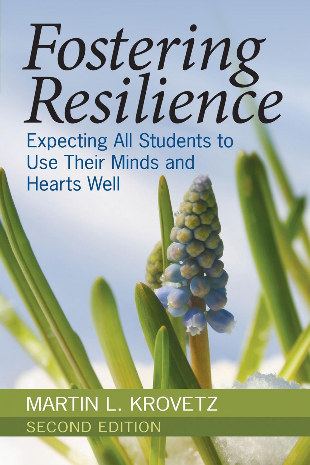 Big bigCover of Fostering Resilience