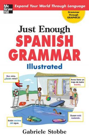 Book cover of Just Enough Spanish Grammar Illustrated