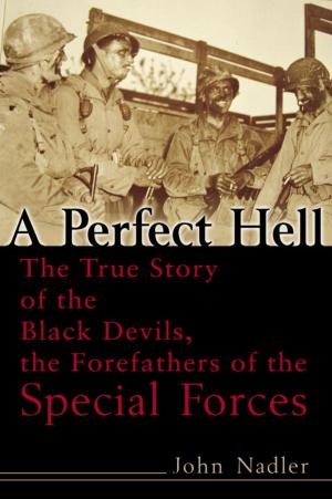 Cover of the book A Perfect Hell by Tracy Wolff