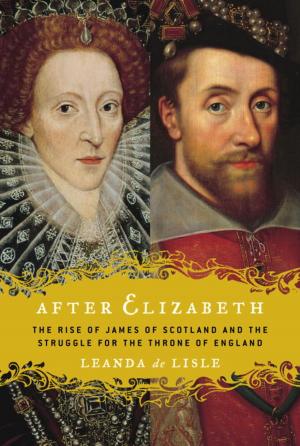 Cover of the book After Elizabeth by Steve Toltz