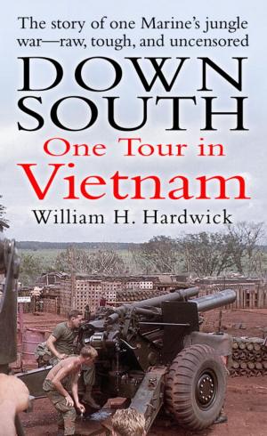 Cover of the book Down South by Ruthie Knox