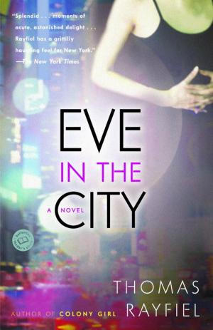 Cover of the book Eve in the City by Jodi Picoult