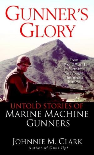 Cover of the book Gunner's Glory by Sandra Chastain