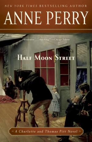 Cover of the book Half Moon Street by Sharon Begley