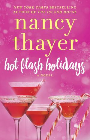 Cover of the book Hot Flash Holidays by Joshua Cohen