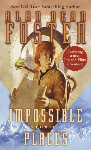 Cover of the book Impossible Places by Sarah Robinson