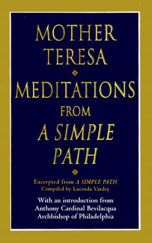 Cover of the book Meditations from a Simple Path by Dartanyan Terry