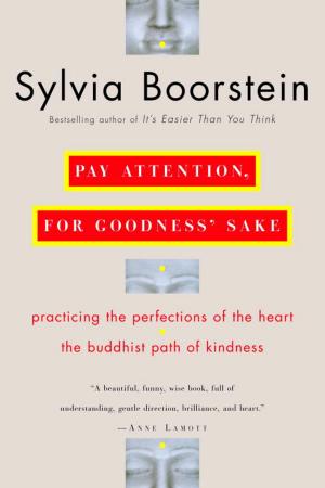 Cover of the book Pay Attention, for Goodness' Sake by Claudia Connor