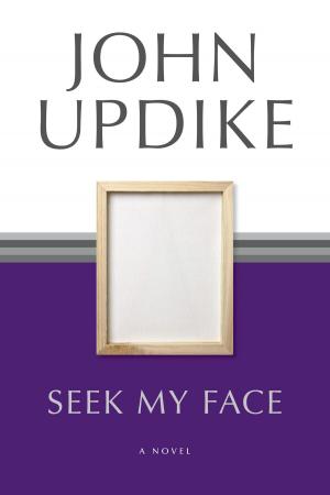 Book cover of Seek My Face