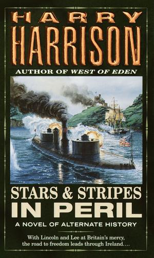 Cover of the book Stars and Stripes in Peril by Jack London