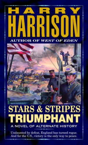 Cover of the book Stars and Stripes Triumphant by Annie Rains
