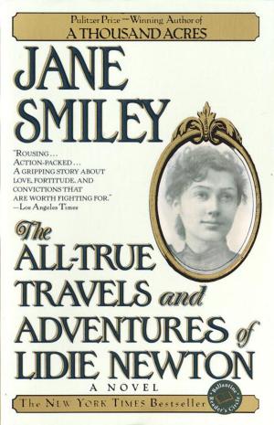 Cover of the book The All-True Travels and Adventures of Lidie Newton by Bradley Stoke