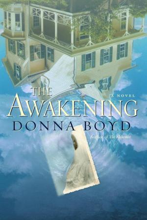 Cover of the book The Awakening by Naomi Kritzer