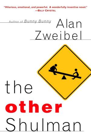 Cover of the book The Other Shulman by Iris Johansen