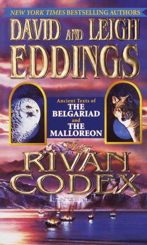 bigCover of the book The Rivan Codex by 