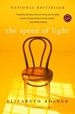 Cover of the book The Speed of Light by Dagmara Dominczyk