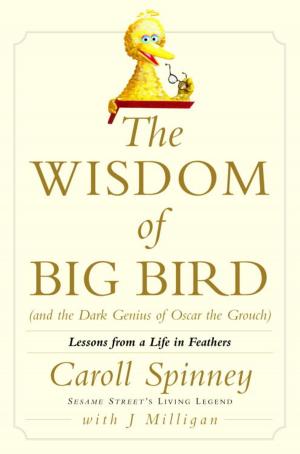 Book cover of The Wisdom of Big Bird (and the Dark Genius of Oscar the Grouch)