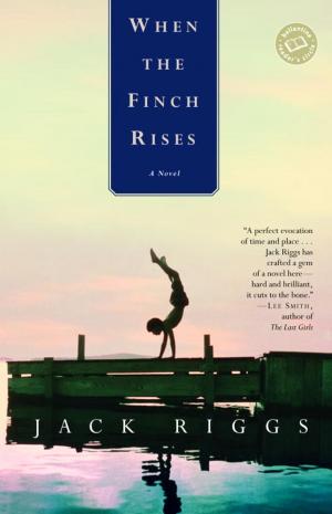 Cover of the book When the Finch Rises by Jim Davis