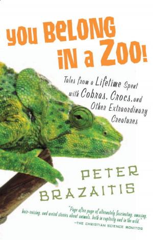 Cover of the book You Belong in a Zoo! by Judy Feiffer