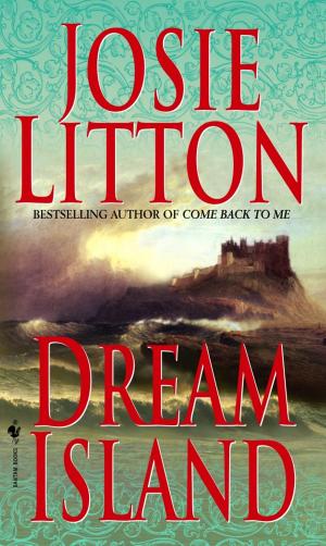 Cover of the book Dream Island by P.J. Flynn